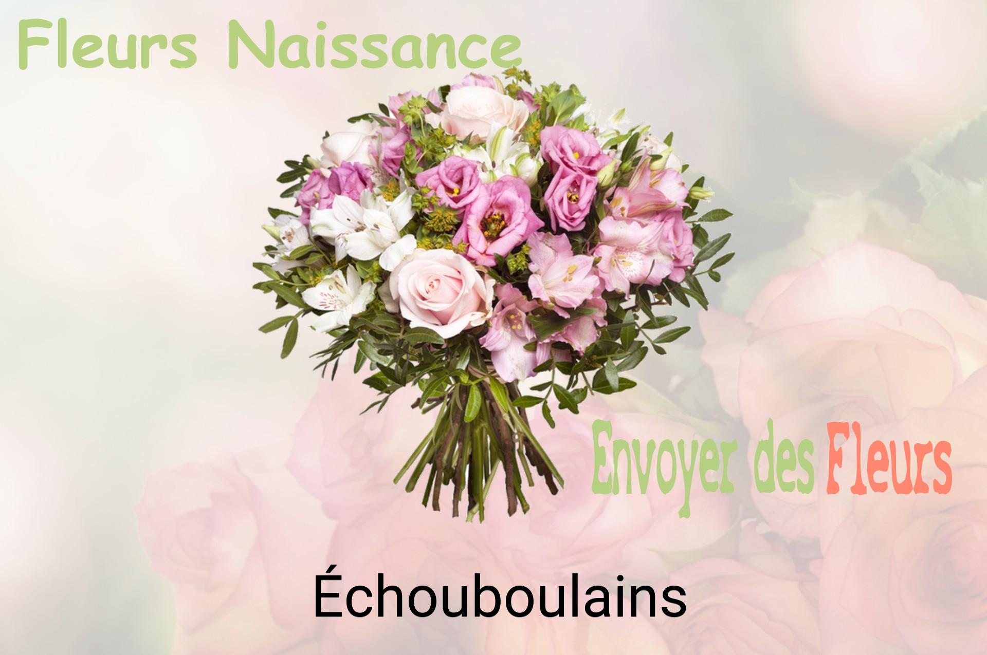 Bouquet de fleurs de naissance livré à Échouboulains