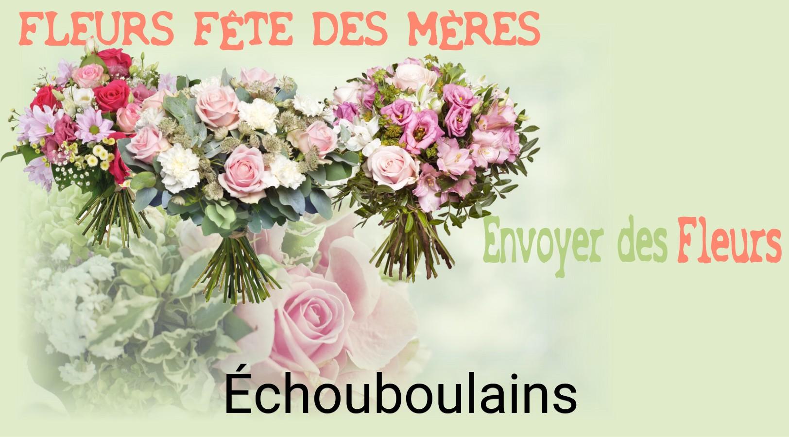 Bouquet de Fête des Mères livré à Échouboulains